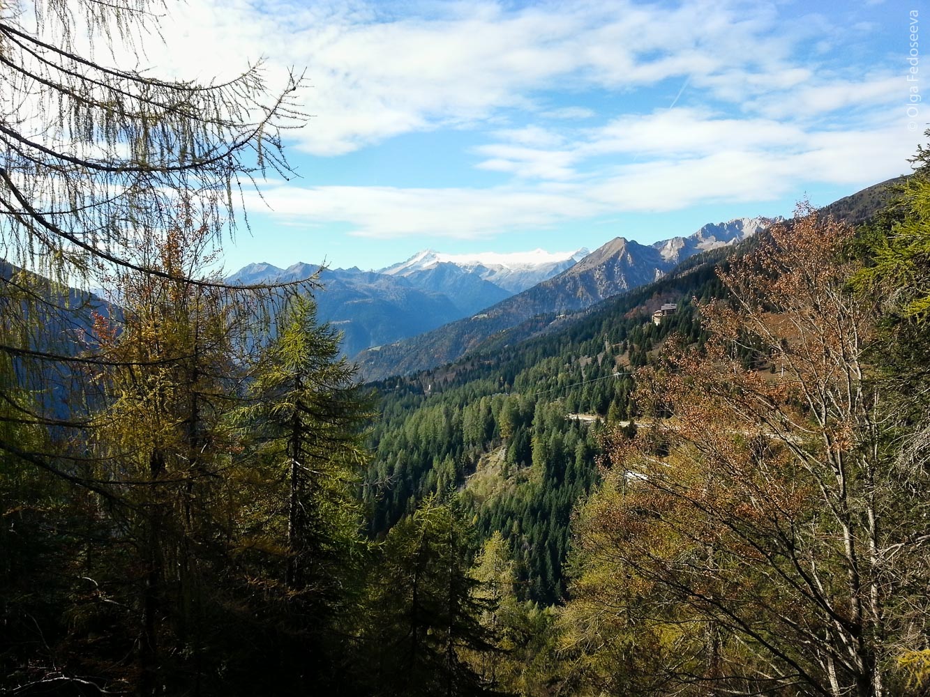 Fall in the Alps