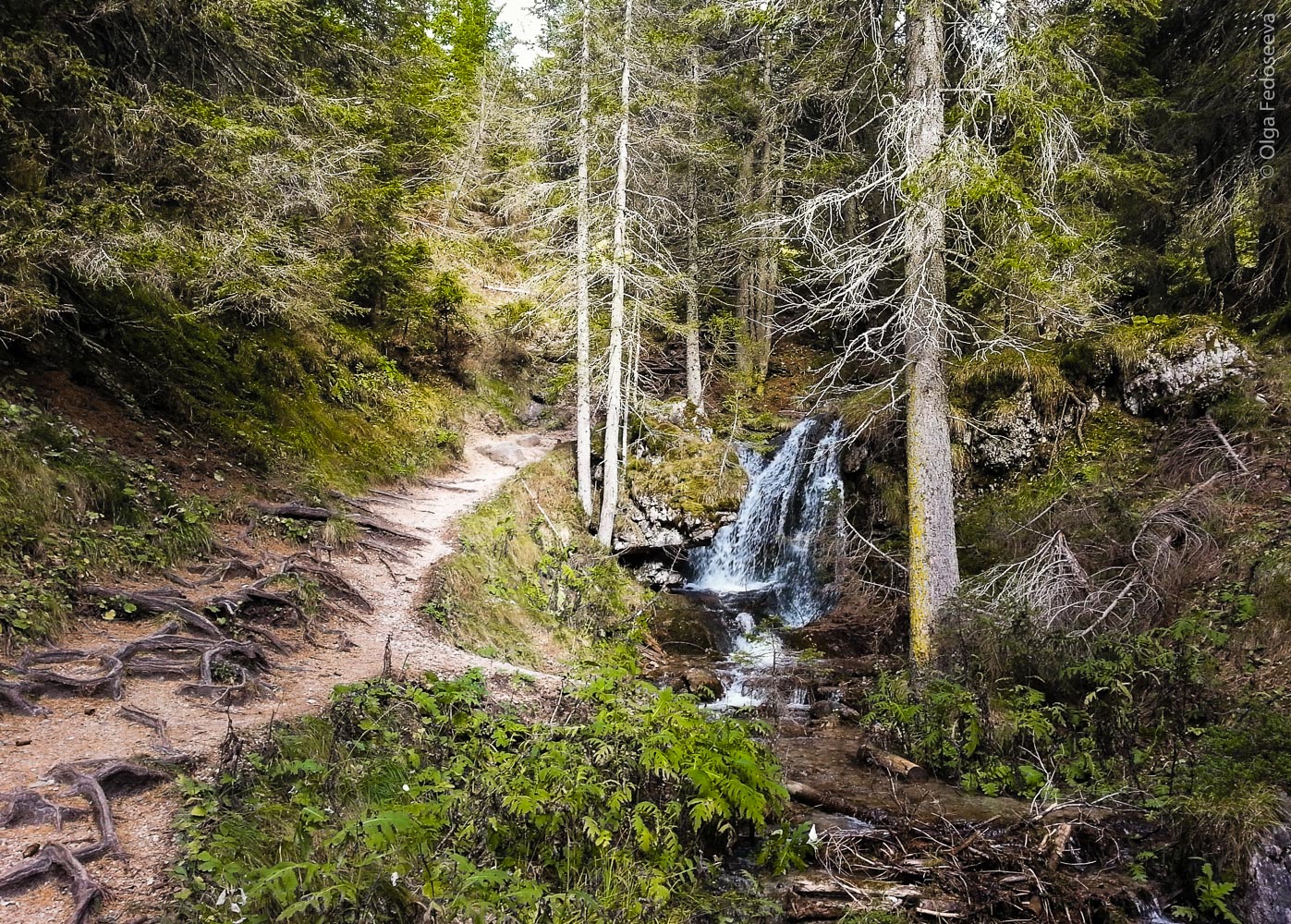 Fall in the mountains