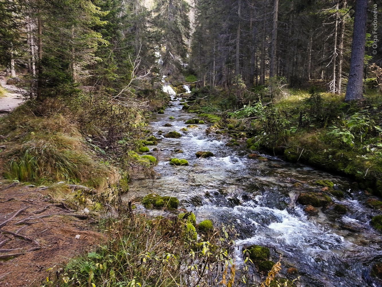 Fall in the Alps