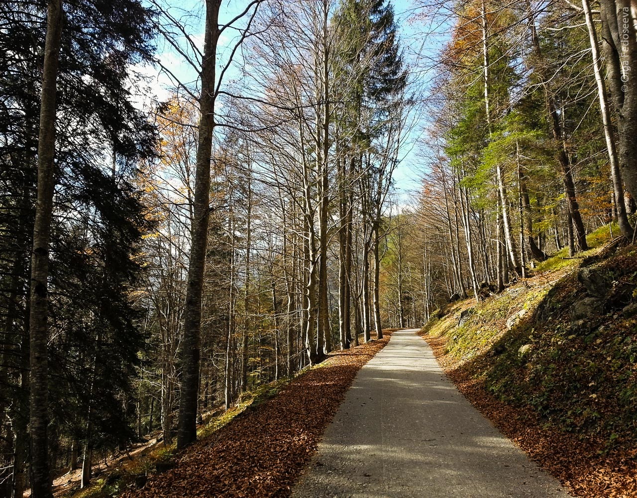 Fall in the Alps