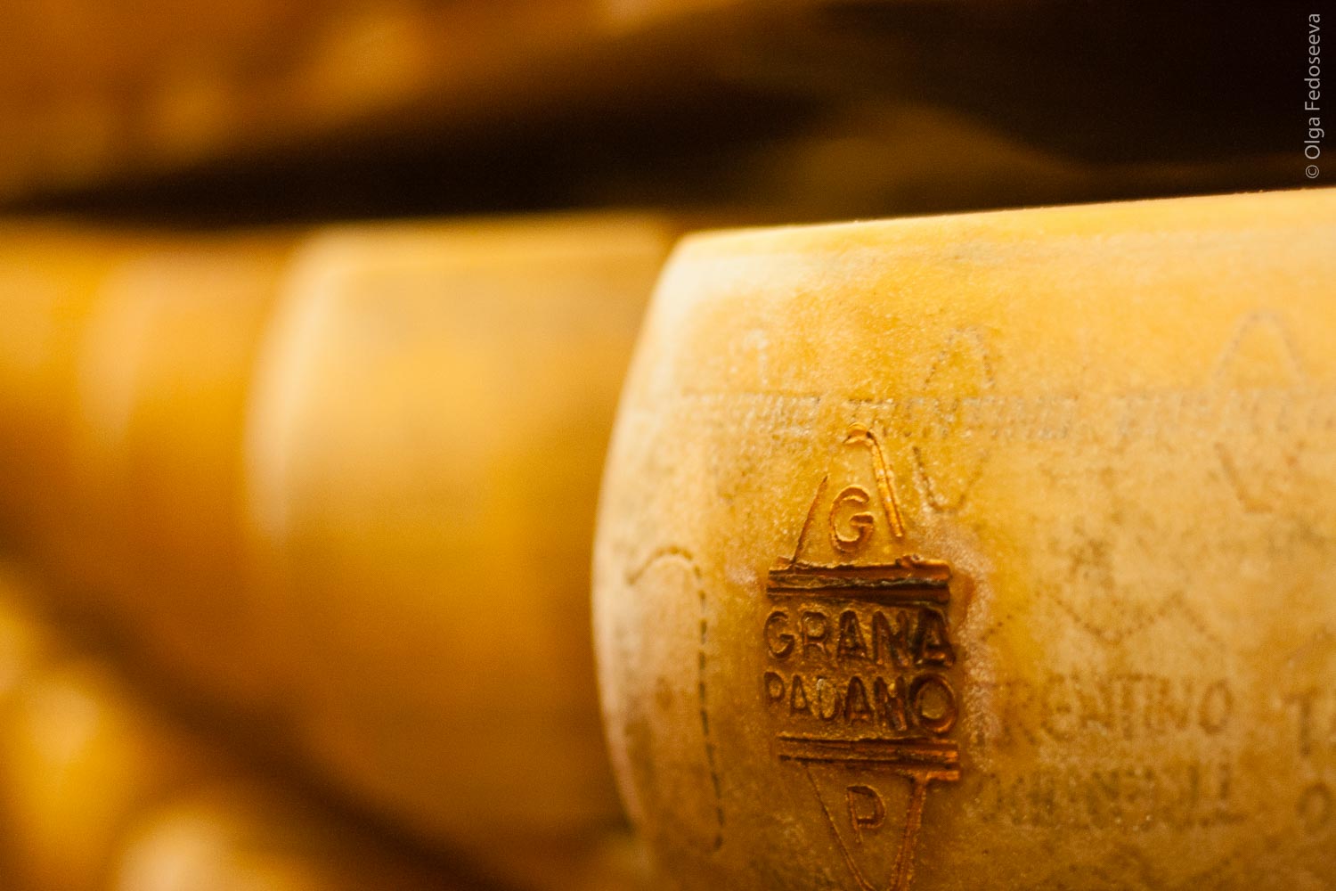 Grana Padano trademark