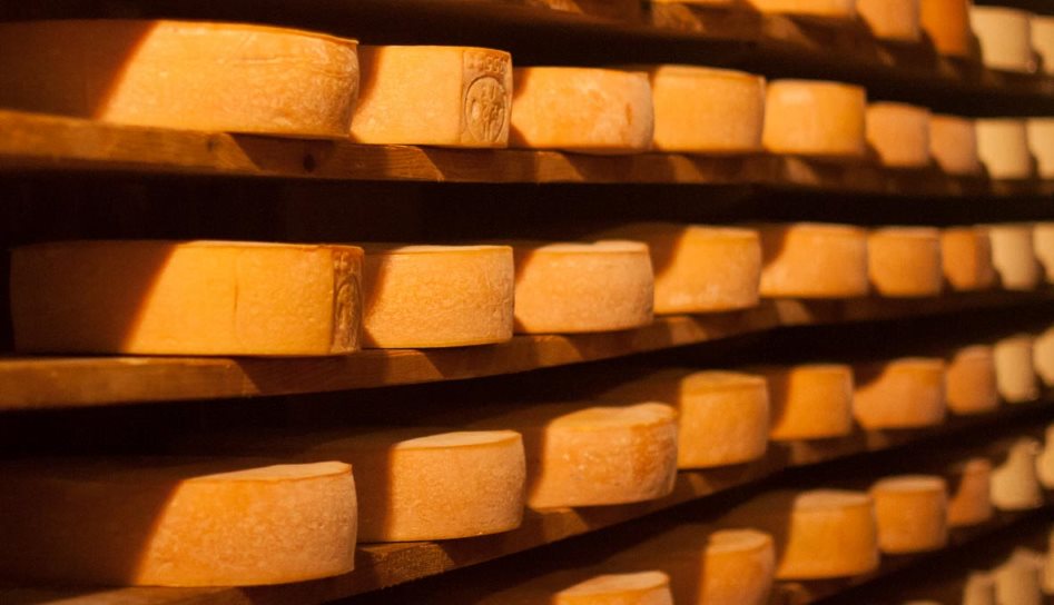 Warehouse full of cheese